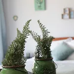 A.ti.tudo Nature Farm stay