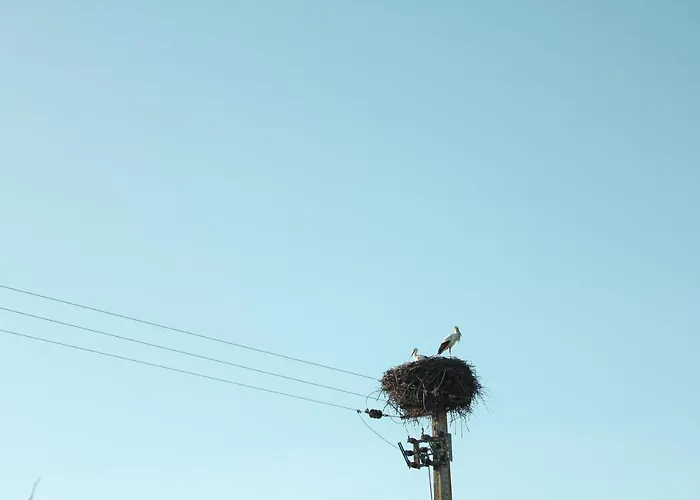 A.ti.tudo Nature Séjour à la ferme *