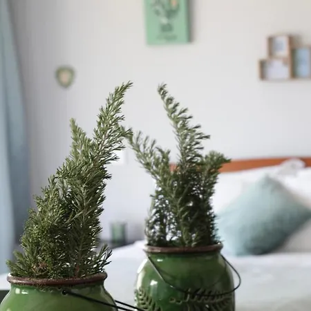 A.ti.tudo Nature 农家乐